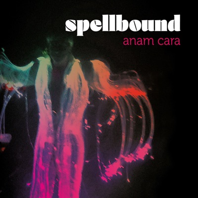 Anam Cara (feat. Julie Scott & Peter Slager)