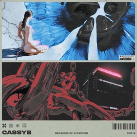 measures of affection cassyb