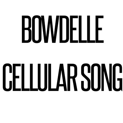 Bowdelle - African Cellular Song Choir