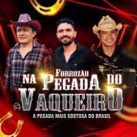 O Fpv Ta On - Single - Forrozão Na Pegada do Vaqueiro