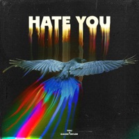 Hate You - Single - Tehj & GIANNI TAYLOR