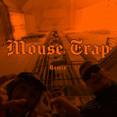 MOUSE TRAP REMIX. (feat. Ku$$in & DON VINYL) - Single