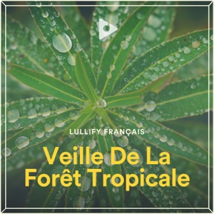 Veille De La Forêt Tropicale