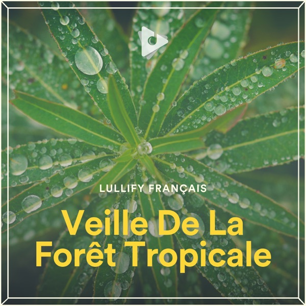 Veille De La Forêt Tropicale