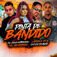 Pinta de Bandido (feat. Laryssa Real) - Single - MC Ricardinho, CM da Seaway & Fl Sem Estresse