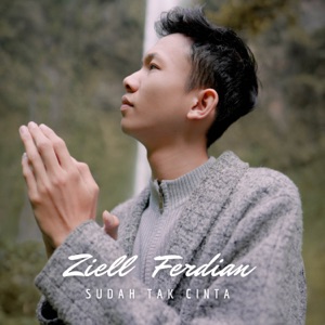 Ziell Ferdian - Sudah Tak Cinta (DJ Putra Damanik Tiktok Remix) - 排舞 音乐