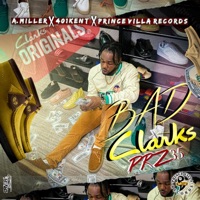 Bad Clarks - Single - Prz35