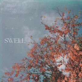 Swell Kubota, Yung Han & Kingsford