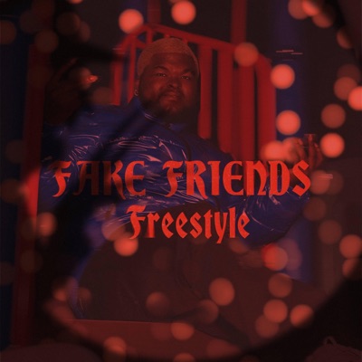 Fake Friends (Freestyle) - Single
