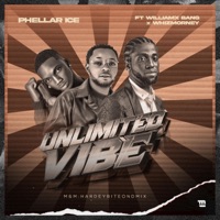 Unlimited Vibe (feat. Williamx bang & Whizmorney) - Single - Phellar_ice