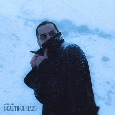 Beautiful Haze - Single