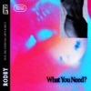 What You Need? (feat. Big E & Lbun) - Single