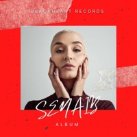 MUSIK - Single - SenaiB