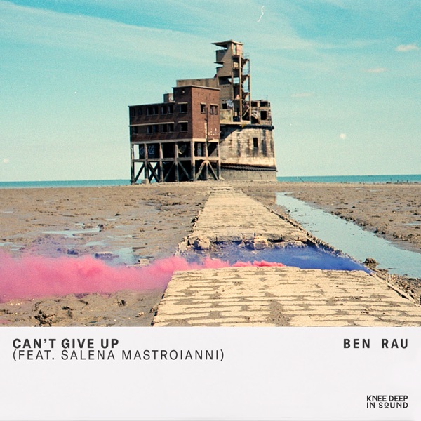 Can't Give Up - Single