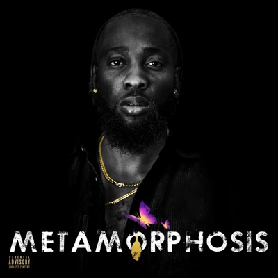 Metamorphosis