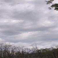 Options - Single - Kymaniixo