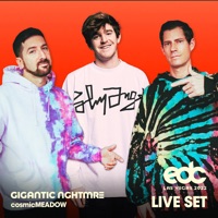 Feel the Vibe (feat. Collie Buddz) [Mixed] - Big Gigantic & SNAILS