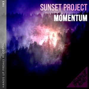 Momentum - Single