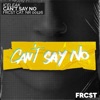 Iceleak - Can't Say No (Extended)