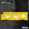 Can't Say No - Single