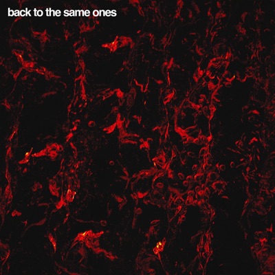 Back To the Same Ones - Single