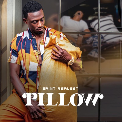 Pillow - Single
