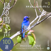 鳥の鳴き声 100選 Vol.3 本州 森林 「森の歌い手たち」 野鳥のさえずり&自然音