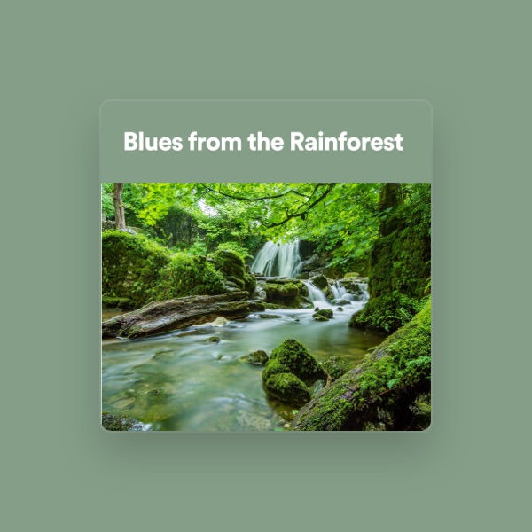 Rainforest Sounds's avatar