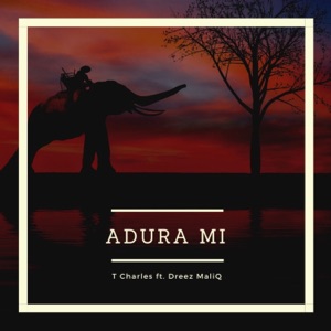 Adura MI (feat. Dreez MaliQ)