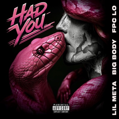 Had You (feat. Big Body Mayo & Fpc.Lo) - Single