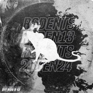 R 13 - Single