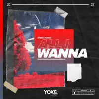 All I Wanna — DNSTY & TopDan