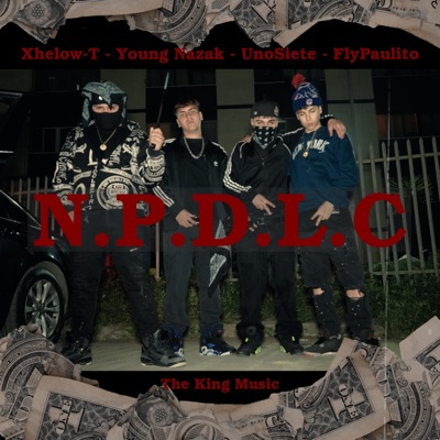 N.P.D.L.C - Single