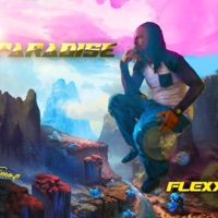 Flexx - Single - Exeo.P