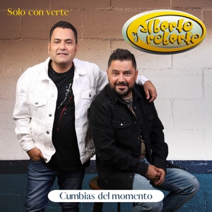 Solo Con Verte