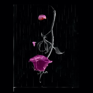 Por Nós Dois - Single