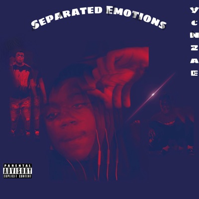 Separated Emotions