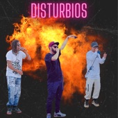 DISTURBIOS artwork