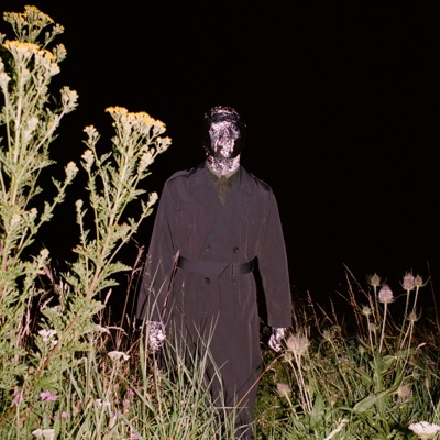 Ultraviolet - Single