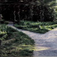 Wrong Path - Single - Pauzul Grotesque