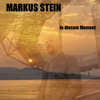Markus Stein - Fly (feat. Hannah) artwork