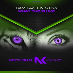 What the Fluke - Single