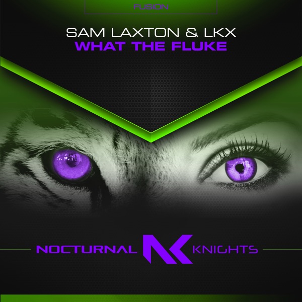What the Fluke - Single