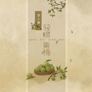 轻嗅青梅 (DJ翊轩版) - Single