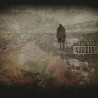 LETTER$ FROM the EaRtH - Roost