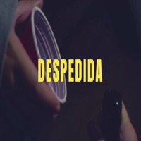 Despedida - Single - Blesst, Rai Gutierrez & Mc PS