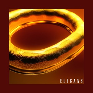 ELEGANS