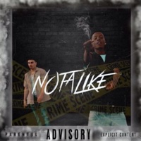 Not Alike (feat. Fadez Loc) - Single - Lil $herm