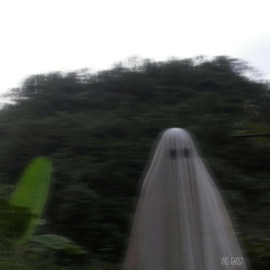 Outside Is Nice vhs ghost