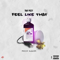 Feel Like That (feat. Coolfame) - Single - Tray Pizzy